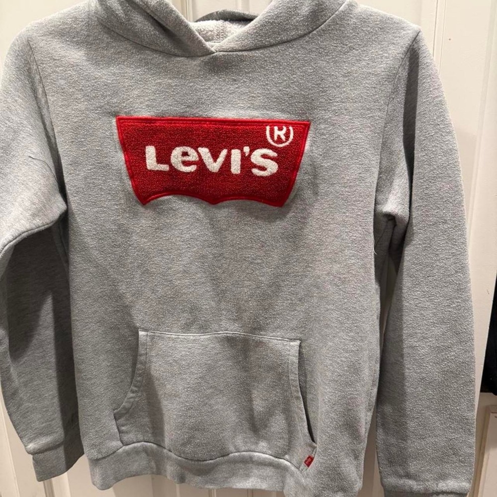 Levis Boys Hoodie Gray Red Chenille Batwing Logo Pullover Size 14/16 XL